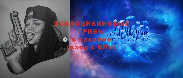 не бодяженный Арсеньев